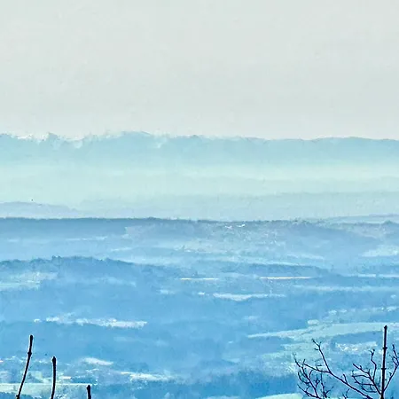 Gemuetliches Alpenblick Berg-Bungalow + Grosser Garten + Netflix! Schöfweg Extérieur photo
