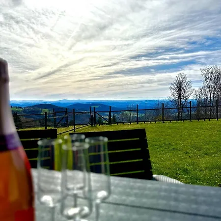 Gemuetliches Alpenblick Berg-Bungalow + Grosser Garten + Netflix! Schöfweg Extérieur photo