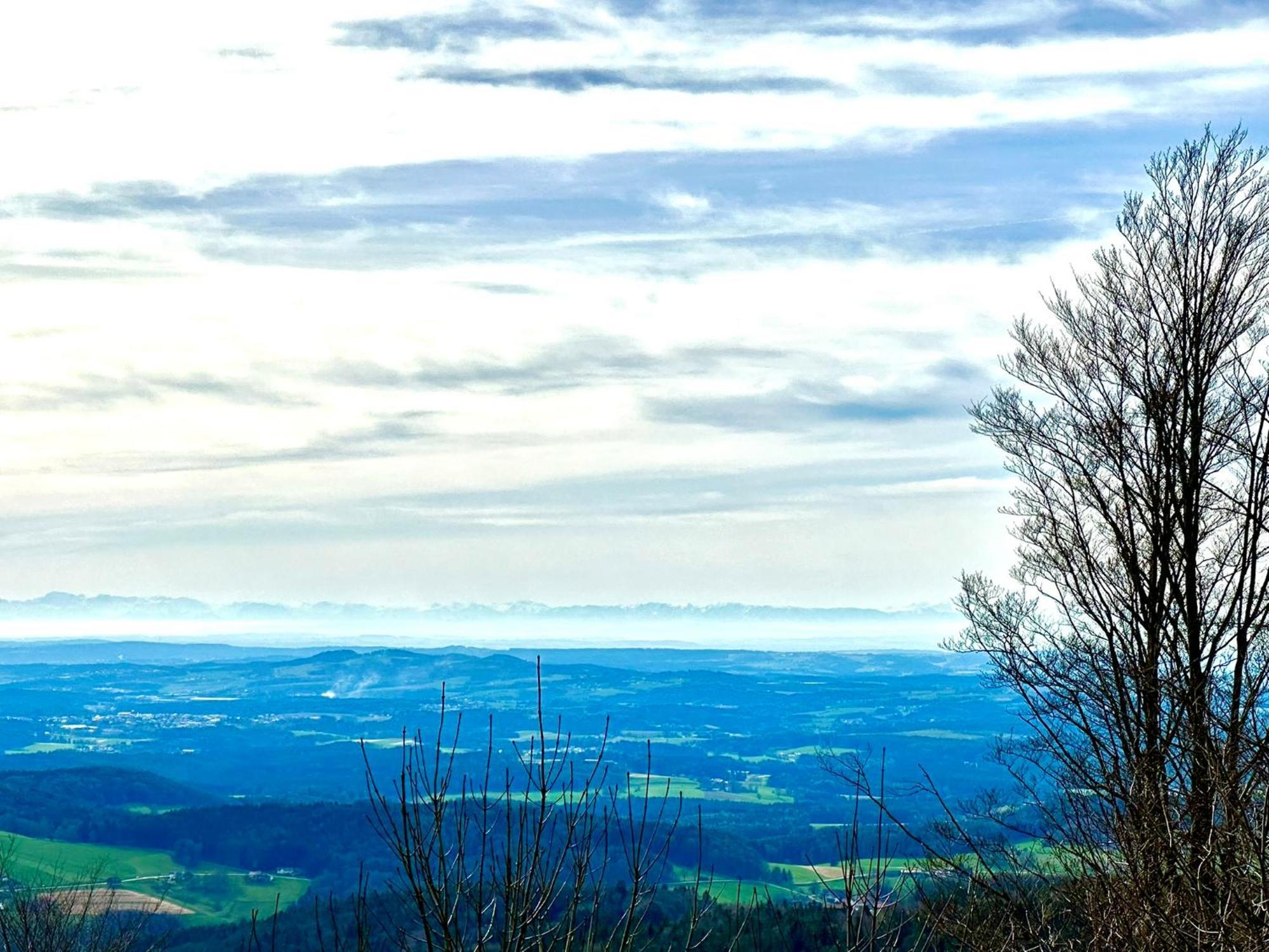 Gemuetliches Alpenblick Berg-bungalow + Grosser Garten + Netflix! Hébergement de vacances *