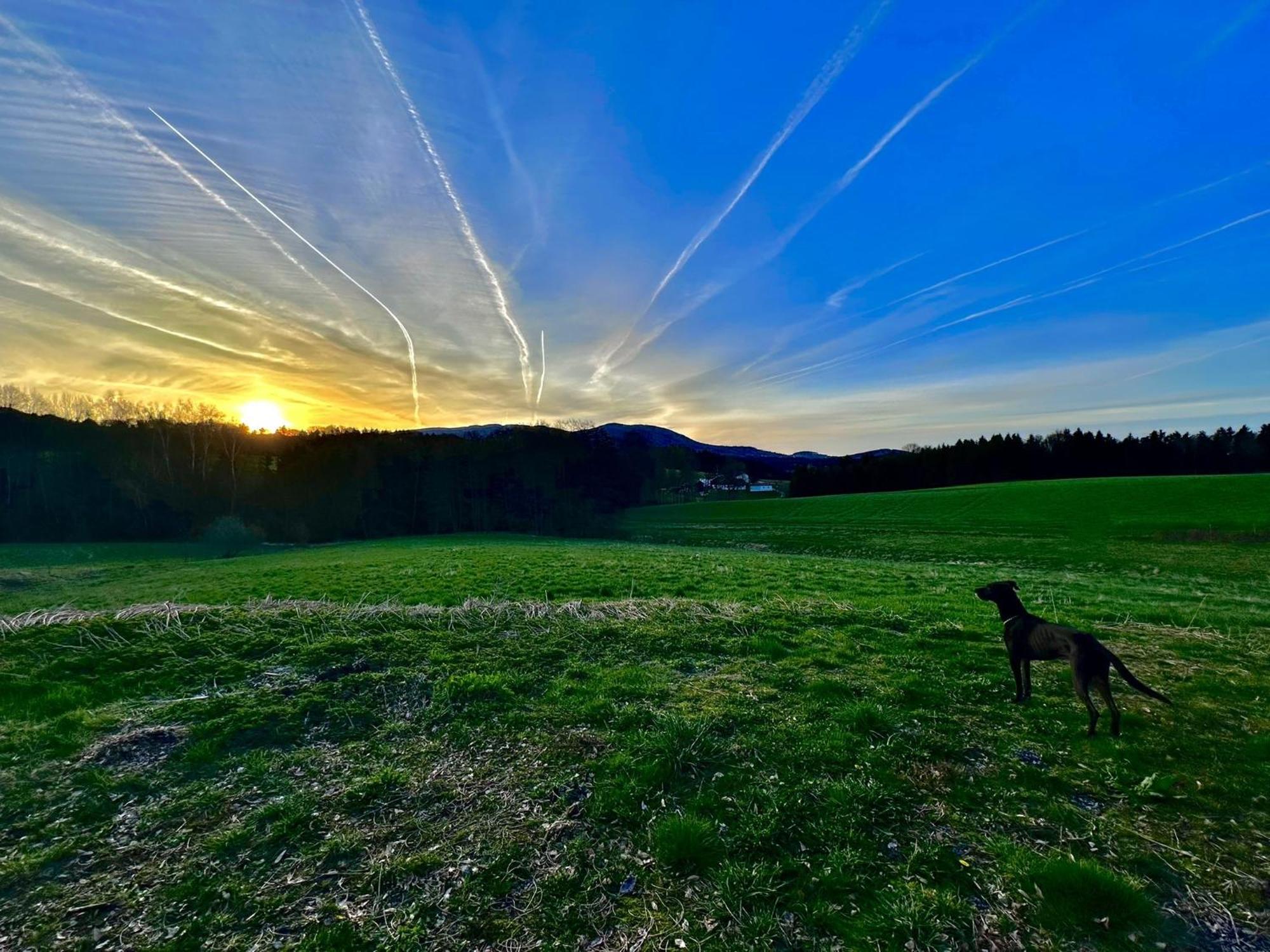 Gemuetliches Alpenblick Berg-bungalow + Grosser Garten + Netflix! * Schöfweg